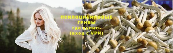 индика Каменка