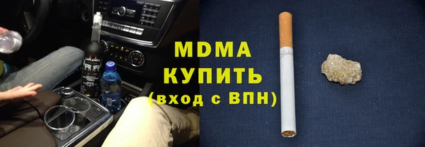 индика Каменка