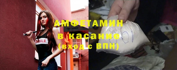 индика Каменка
