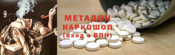 индика Каменка