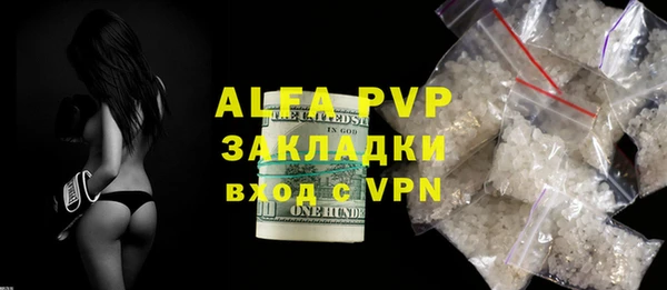 индика Каменка