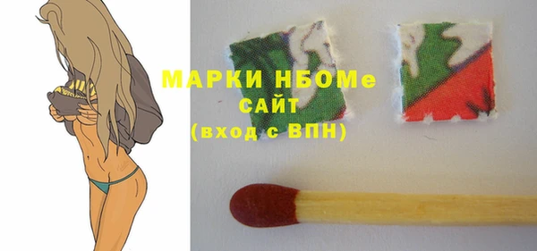 индика Каменка