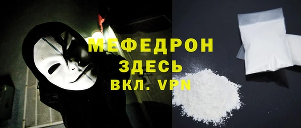 индика Каменка