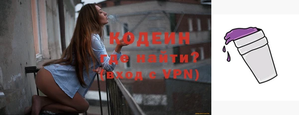 индика Каменка