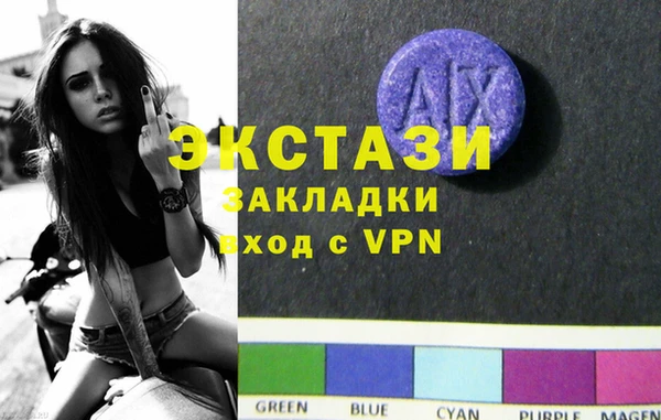 индика Каменка