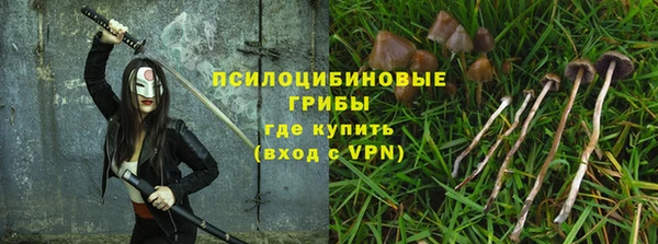 индика Каменка