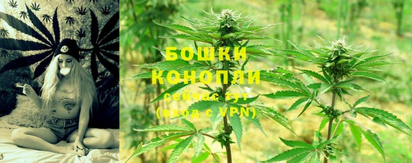 каннабис Каменногорск