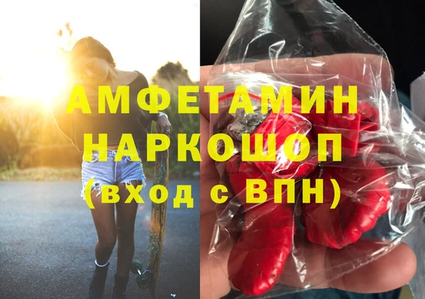 индика Каменка