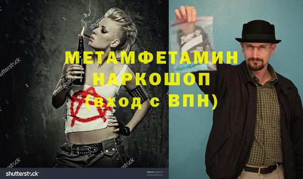 индика Каменка