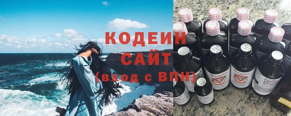 индика Каменка