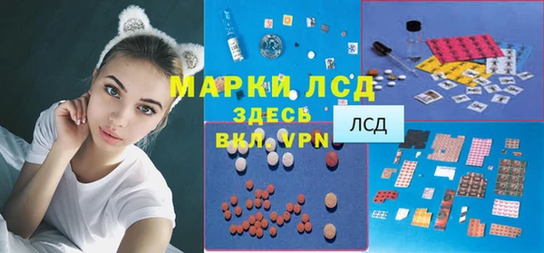 индика Каменка