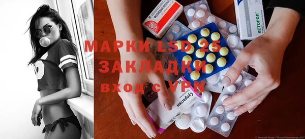 индика Каменка
