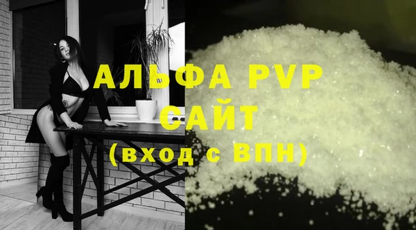 индика Каменка